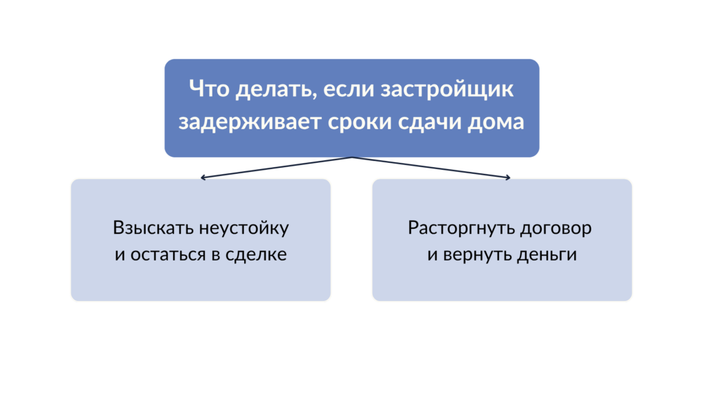 Что делать, если застройщик нарушает сроки сдачи дома 2 варианта