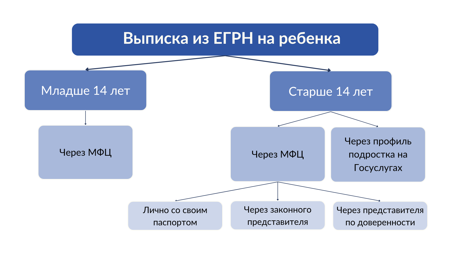 Как получить выписку из ЕГРН на ребенка через Госуслуги и МФЦ на схеме 