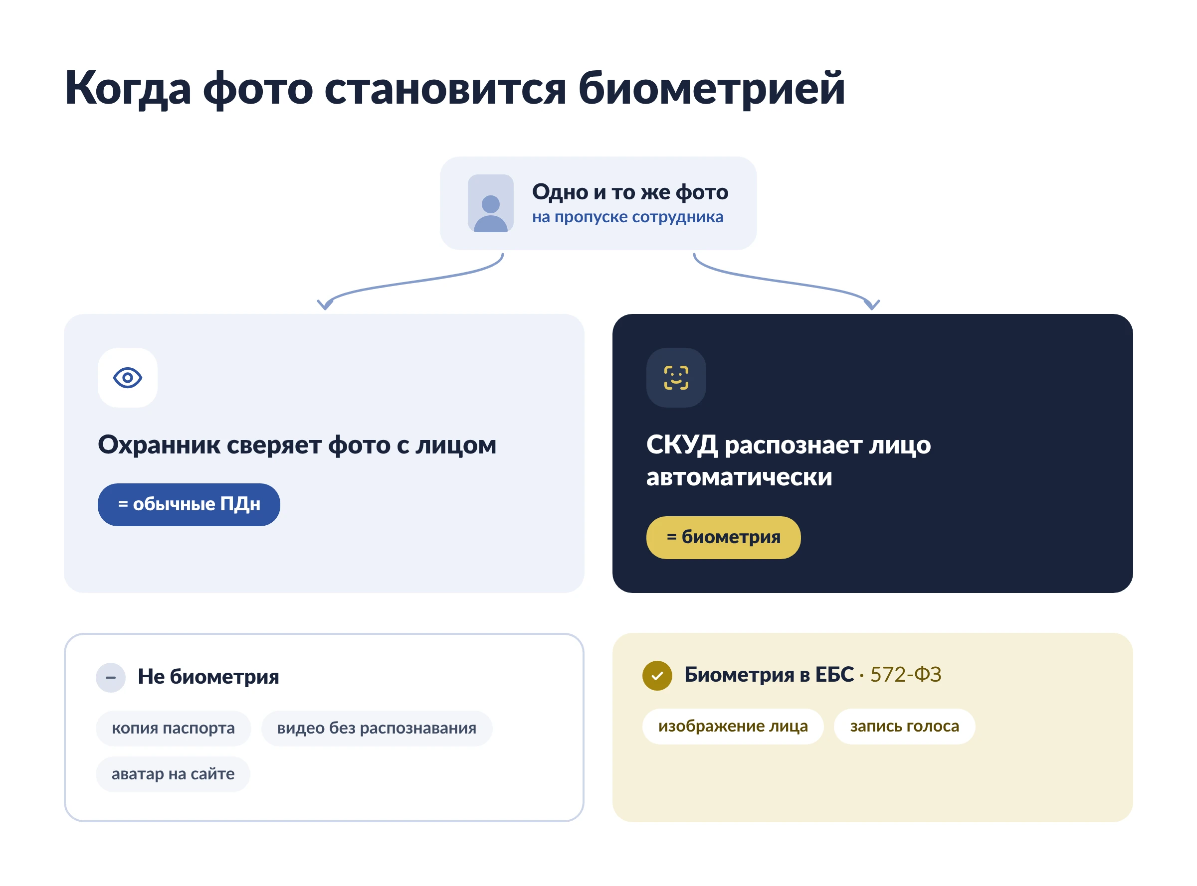 Что такое биометрические ПДн по закону простыми словами