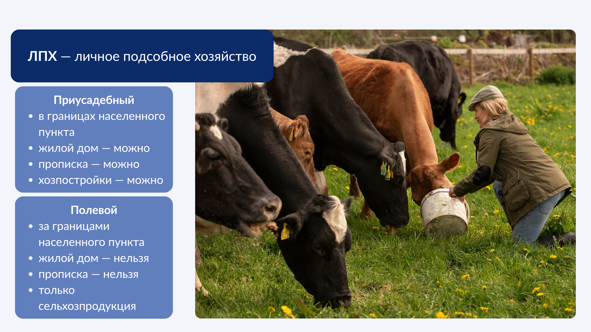 Что такое ЛПХ, схема